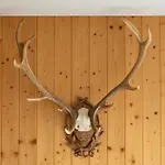 شقة Hubert *